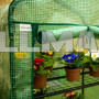 Садовая мини теплица для балкона 4 полки Крокус II  70 x 50 x 158 см зеленая